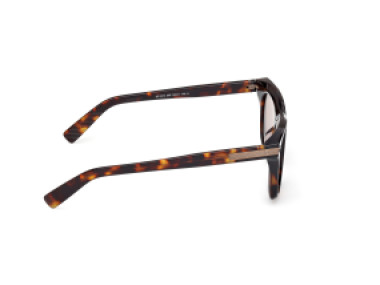 Ermenegildo Zegna EZ0270 55E