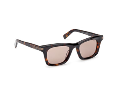 Ermenegildo Zegna EZ0270 55E