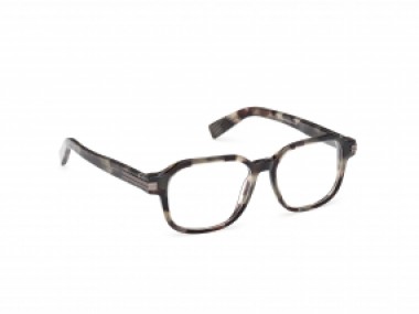 Ermenegildo Zegna EZ5305 055