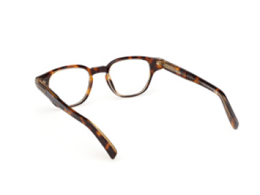 Ermenegildo Zegna EZ5306 056