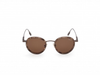 Ermenegildo Zegna EZ0276 50E