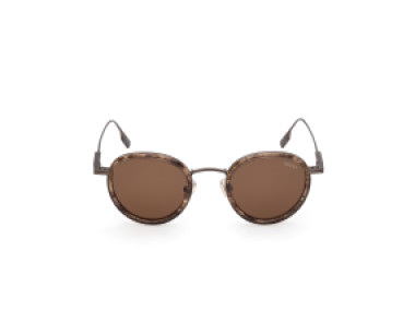Ermenegildo Zegna EZ0276 50E
