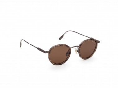 Ermenegildo Zegna EZ0276 50E