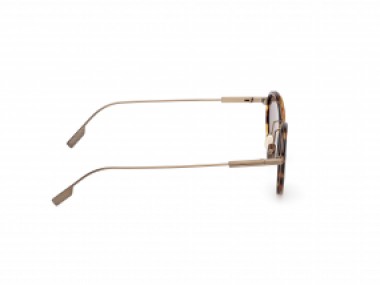 Ermenegildo Zegna EZ0276 52E