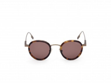 Ermenegildo Zegna EZ0276 52E