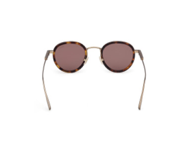 Ermenegildo Zegna EZ0276 52E