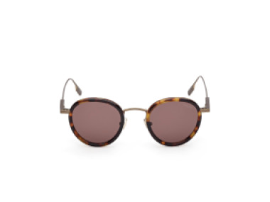 Ermenegildo Zegna EZ0276 52E