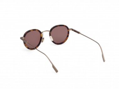 Ermenegildo Zegna EZ0276 52E