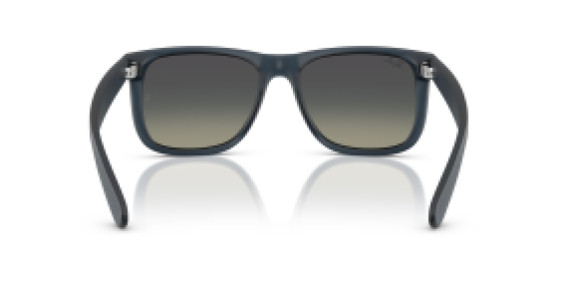 Ray-Ban RB4165 681311