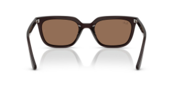 Ray-Ban RB4439D 623173