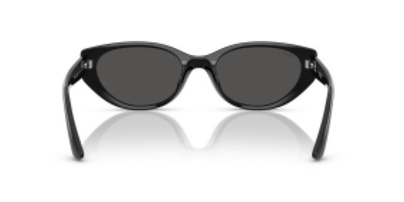 Ray-Ban RB4457D 667787