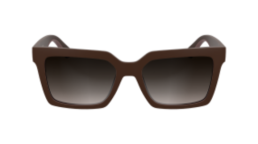 Calvin Klein Jeans CKJ25602S 605