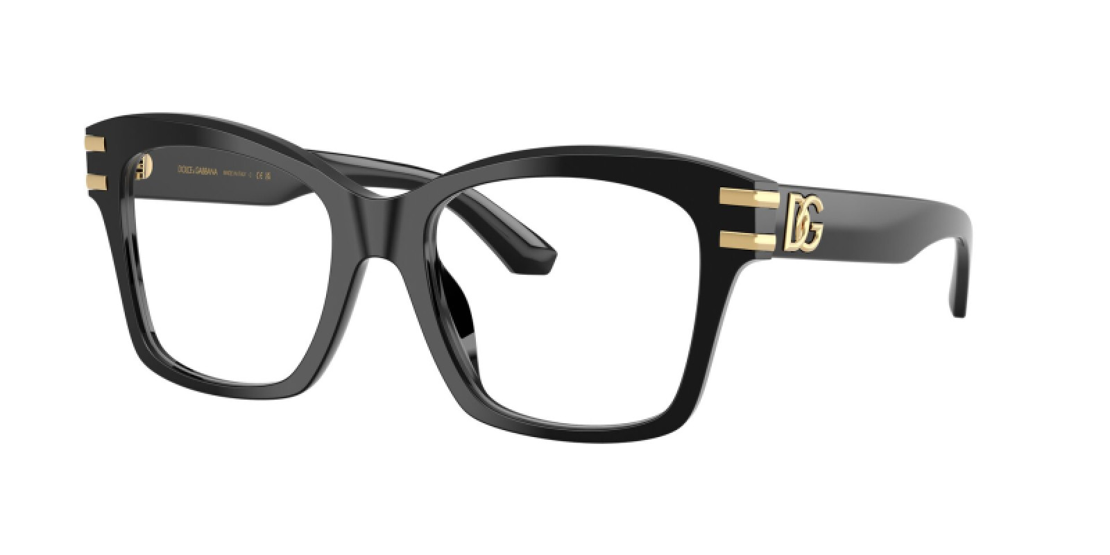 Dolce&Gabbana DG 3419 501