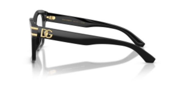 Dolce&Gabbana DG 3419 501