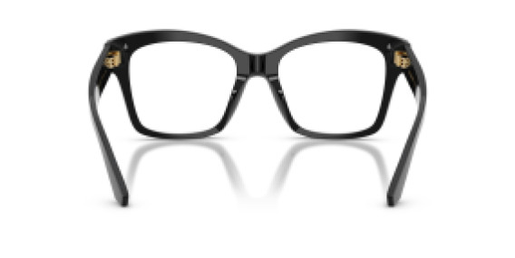 Dolce&Gabbana DG 3419 501