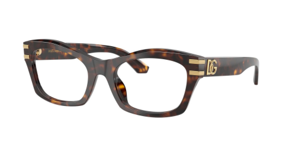 Dolce & Gabbana DG3420 502