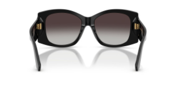 Dolce&Gabbana DG 4501 501/8G