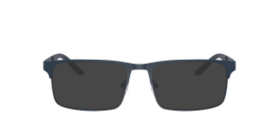 Emporio Armani EA 1170 3001