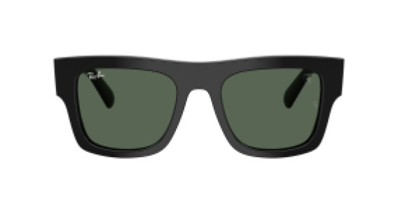 Ray-Ban RB2217M F60171