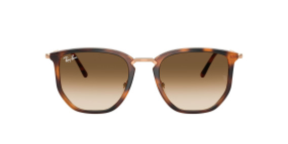 Ray-Ban RB4451 680451