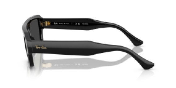 Ray-Ban RB4454 667748