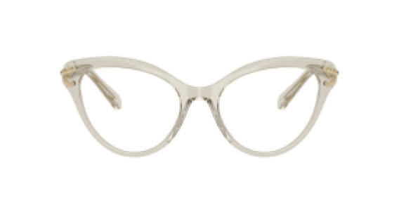 Swarovski SK 2030 3003