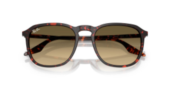 Ray-Ban RB2203 14290A