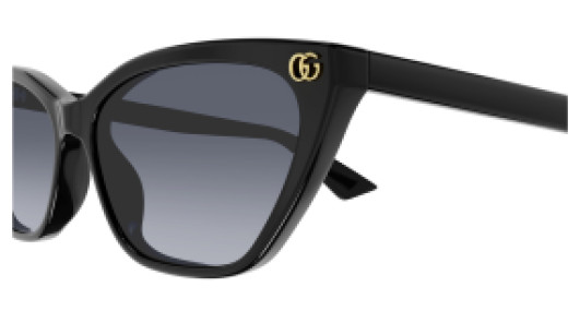 Gucci GG1815S 005