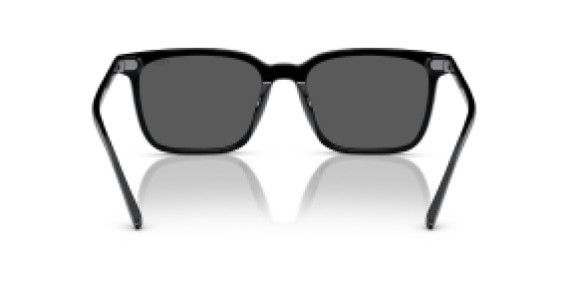 Polo Ralph Lauren PH 4194U 500187