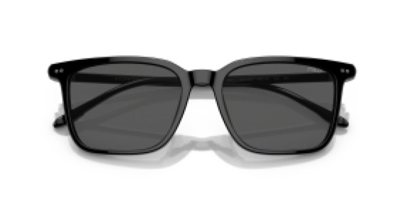 Polo Ralph Lauren PH 4194U 500187