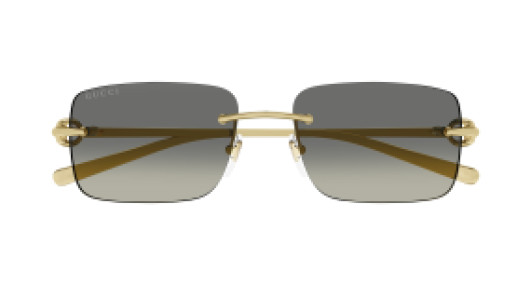 Gucci GG1703S 005