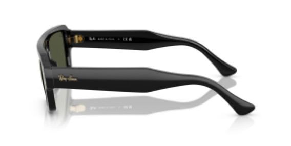 Ray-Ban RB4454 667731