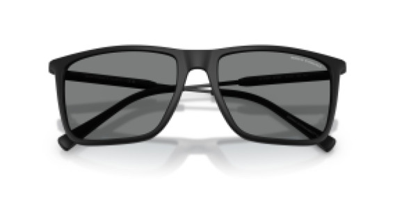 Armani Exchange AX4160S 807887