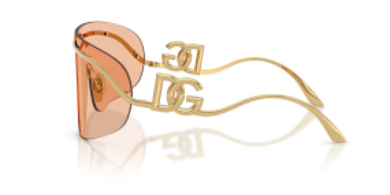 Dolce&Gabbana DG 2320 02/73
