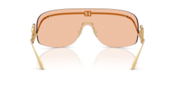 Dolce&Gabbana DG 2320 02/73