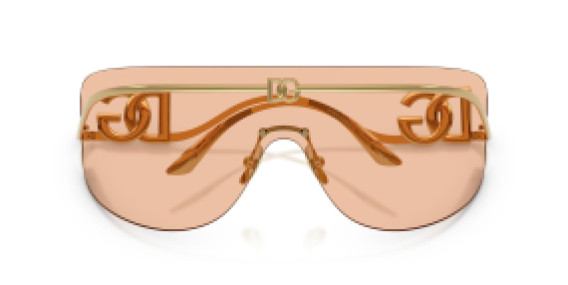 Dolce&Gabbana DG 2320 02/73