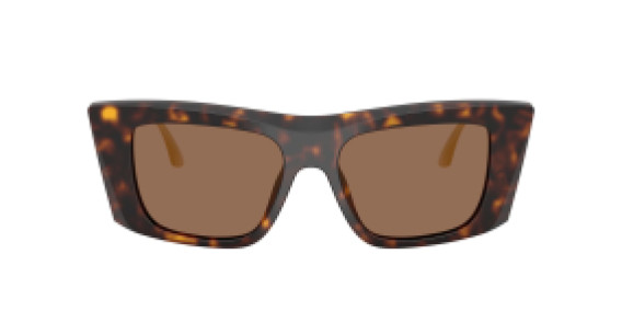 Dolce&Gabbana DG 4510 502/73