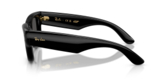 Ray-Ban RB4940 601/87