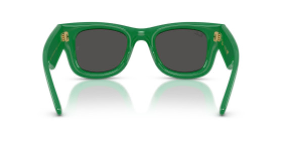 Ray-Ban RB4940 683487