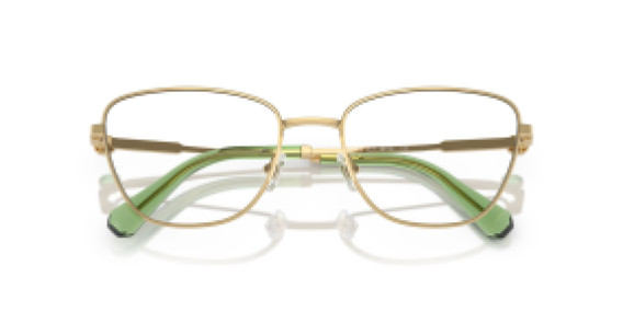 Swarovski SK 1018 4017