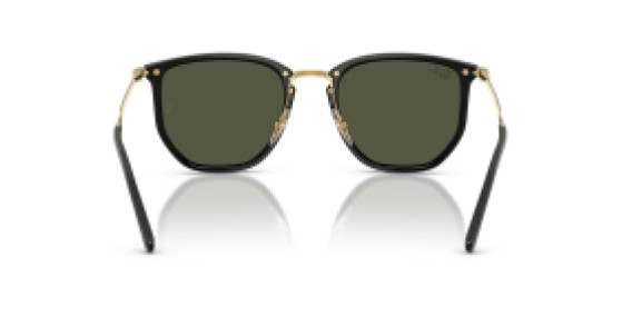 Ray-Ban RB4451 630631