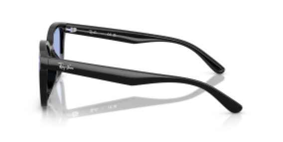 Ray-Ban RB4461D 601/80