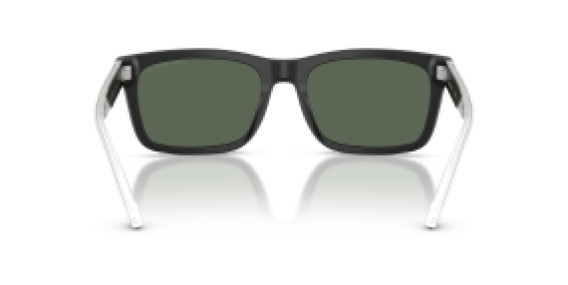 Emporio Armani EA 4224 500171