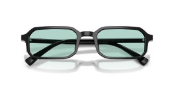 Emporio Armani EA 4253U 501765