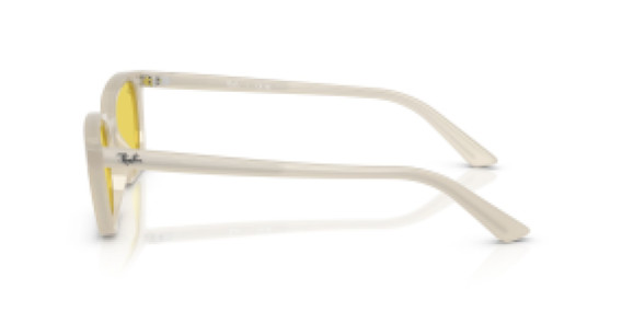 Ray-Ban RB4456 68086D