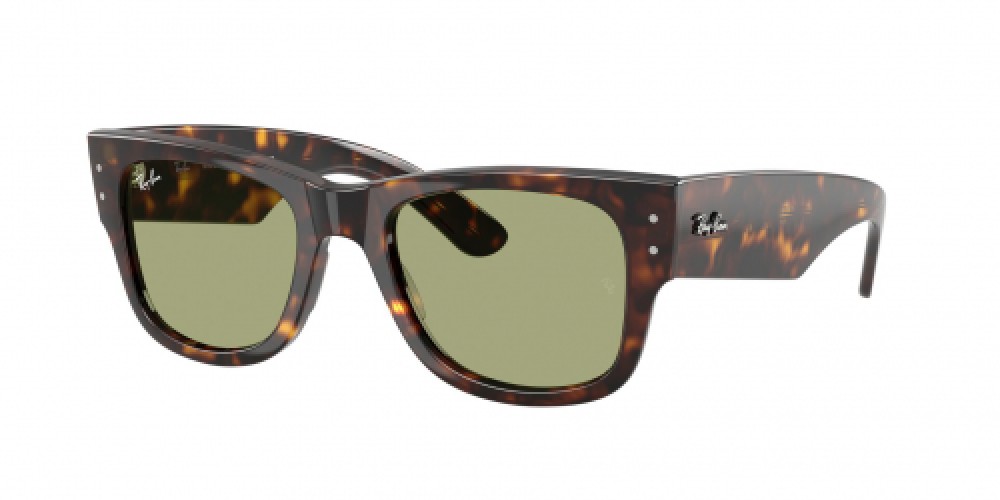 Ray-Ban RB0840S 902/4E