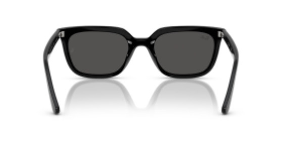 Ray-Ban RB4439D 901/87