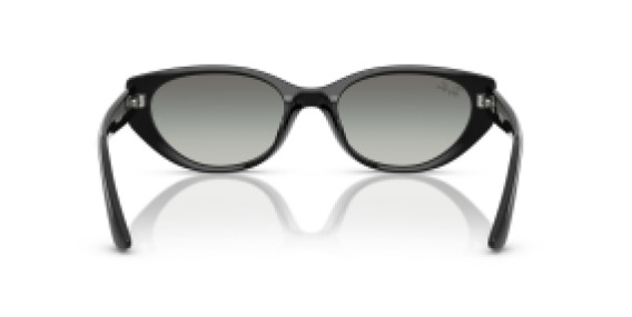 Ray-Ban RB4457D 667711