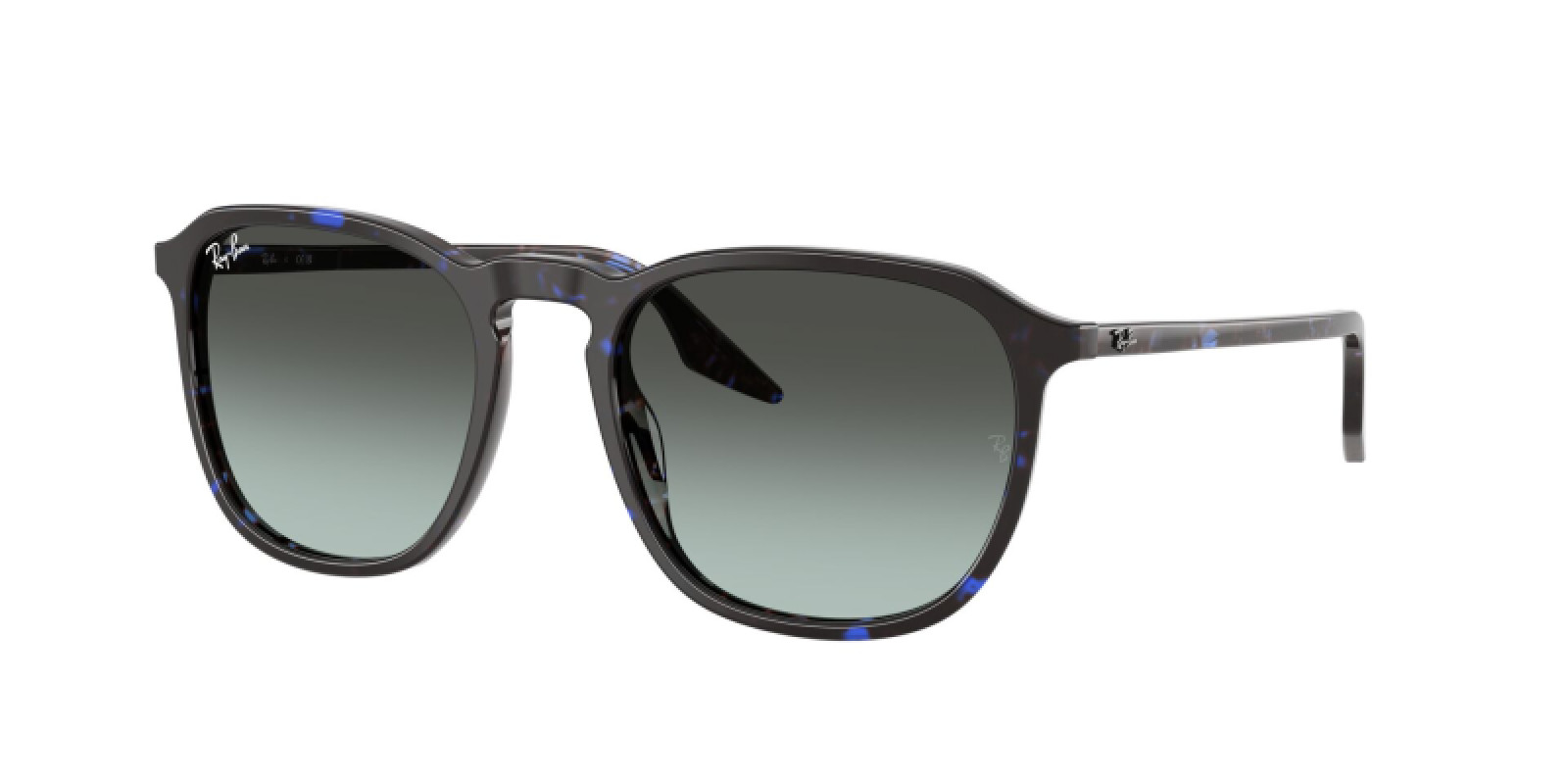Ray-Ban RB2203 1430GK
