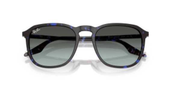 Ray-Ban RB2203 1430GK